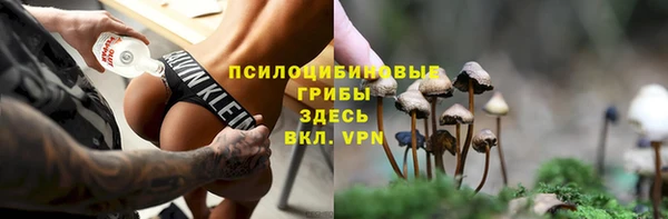 a pvp Алексин