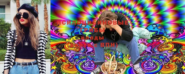 a pvp Алексин